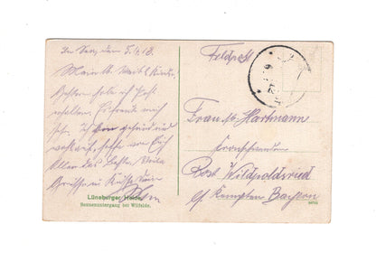 Ansichtskarte / Feldpost / Lüneburger Heide - 1918