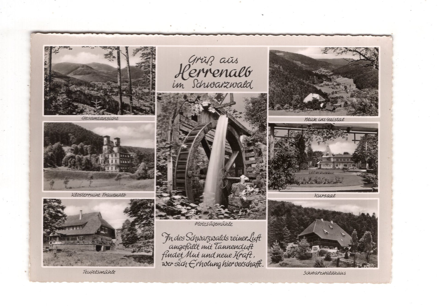 Ansichtskarte Bad Herrenalb im Schwarzwald / Kursaal +++ / K1-58