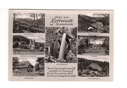 Ansichtskarte Bad Herrenalb im Schwarzwald / Kursaal +++ / K1-58