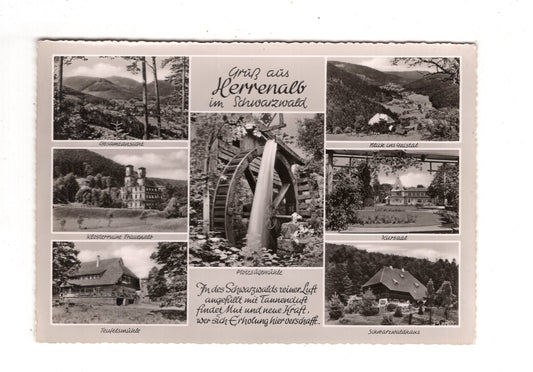 Ansichtskarte Bad Herrenalb im Schwarzwald / Kursaal +++ / K1-58