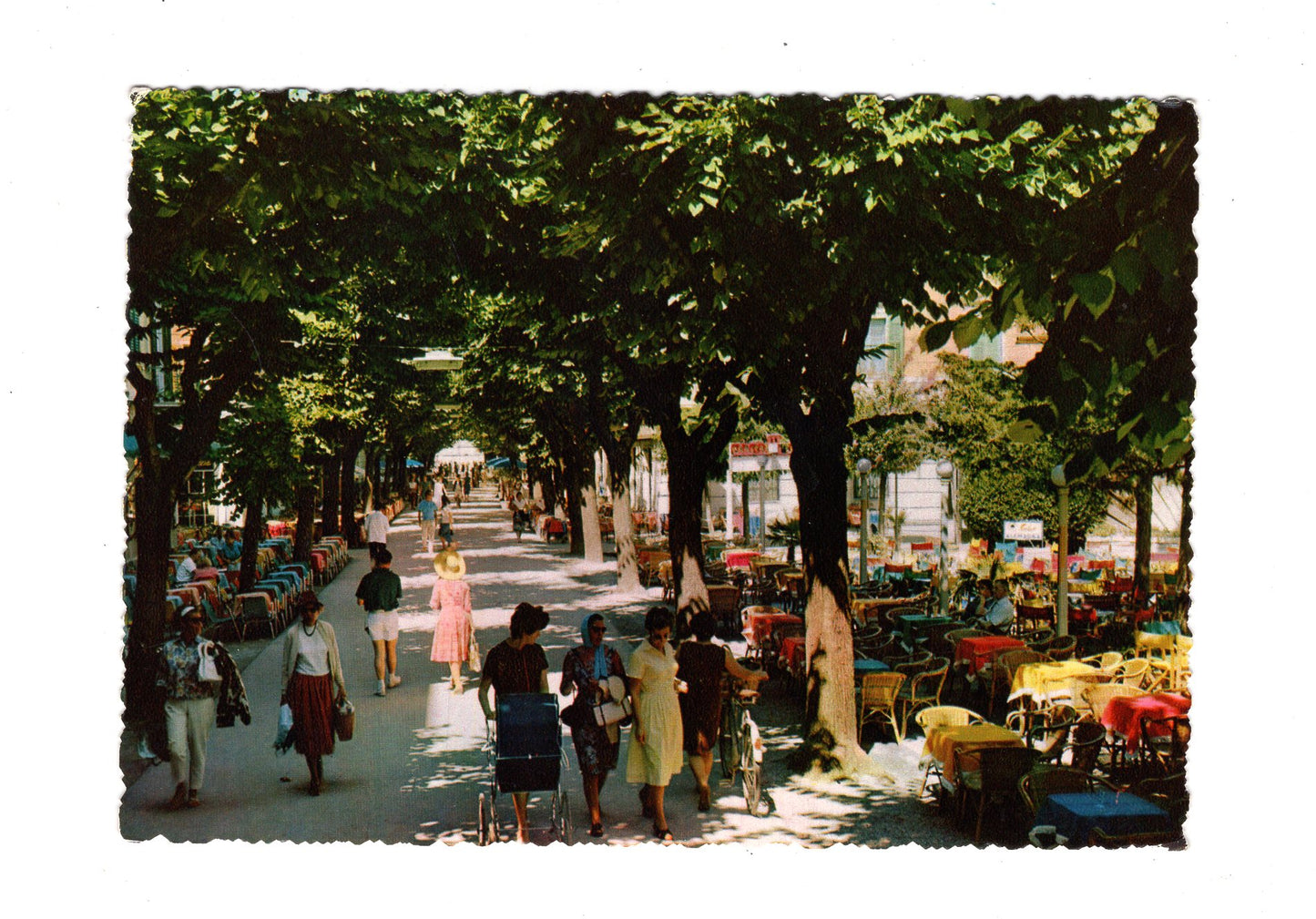 Ansichtskarte Grado / Viale principale / Italien