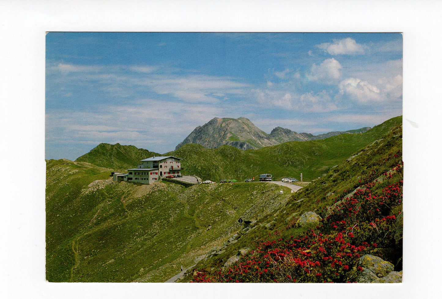 Ansichtskarte Penserjoch / Gasthof Alpenrosenhof / Sarntal / Südtirol / Italien