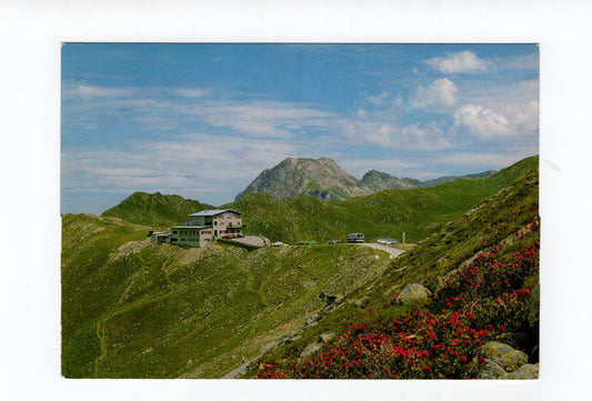 Ansichtskarte Penserjoch / Gasthof Alpenrosenhof / Sarntal / Südtirol / Italien
