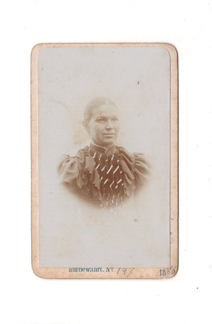Fotografie Damenportrait - unbekannter Ort 1880/90er / CDV C1-03