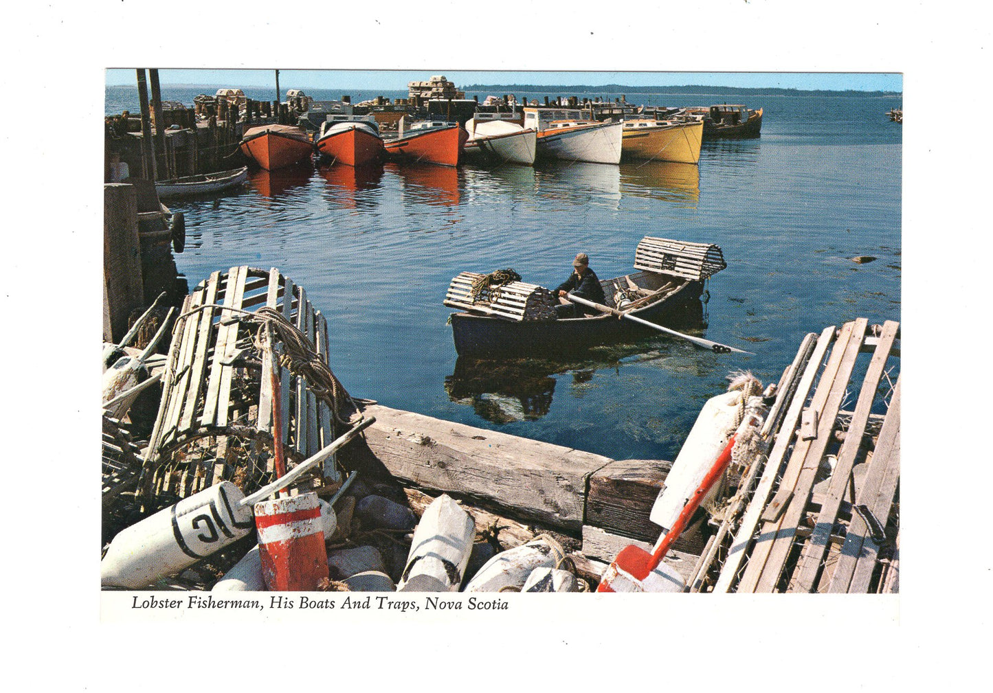 Ansichtskarte Lobster Fisherman / Nova Scotia / Kanada