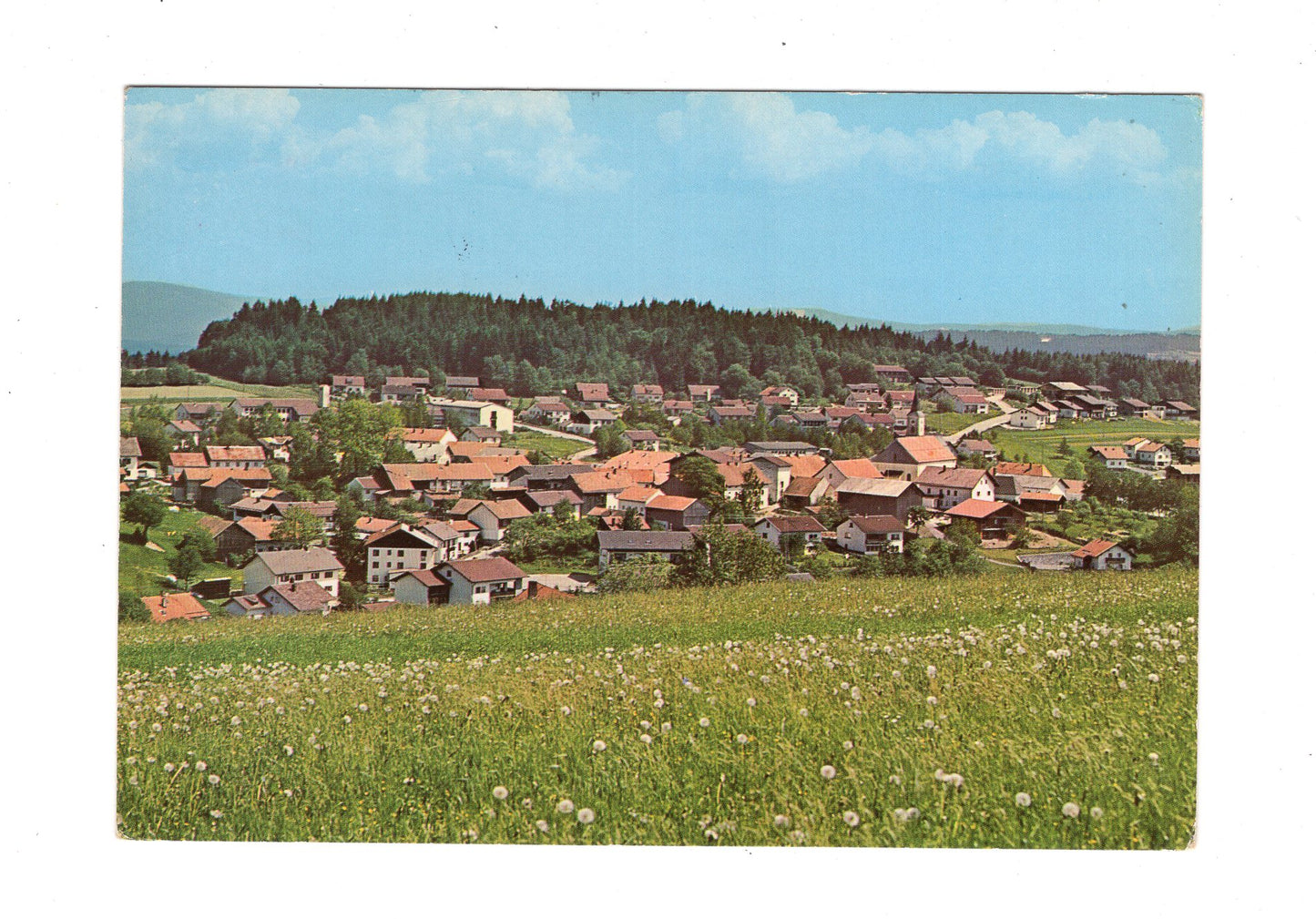 Ansichtskarte Bischofsmais / Bayerischer Wald