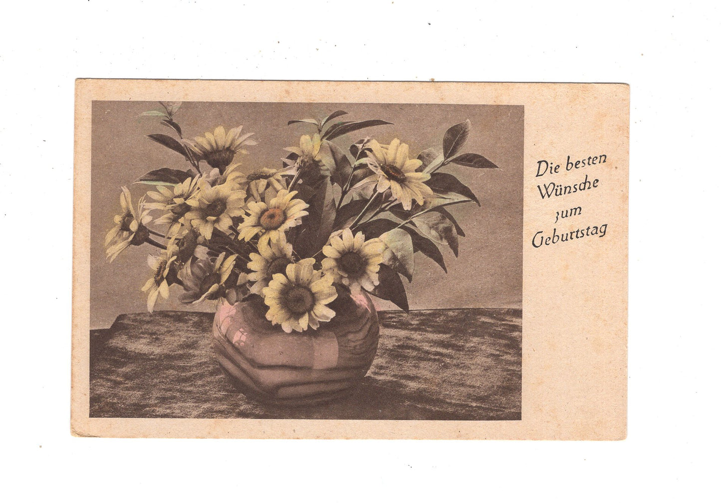 Ansichtskarte Glückwünsche / Glückwunsch zum Geburtstag / L1-57