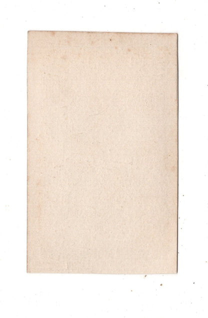 Fotografie Feine Dame - unbekannter Ort 1860er