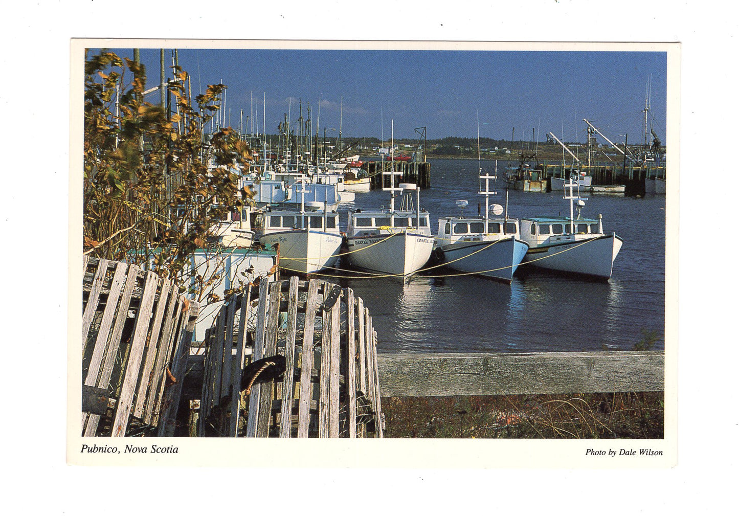 Ansichtskarte Pubnico / Nova Scotia / Kanada