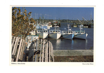 Ansichtskarte Pubnico / Nova Scotia / Kanada