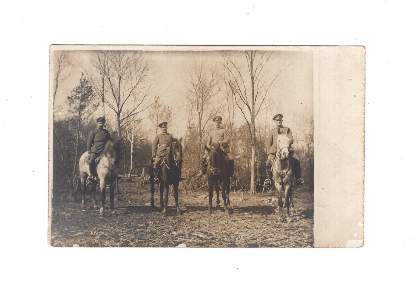 Ansichtskarte / Foto Gruppenbild Soldaten zu Pferde