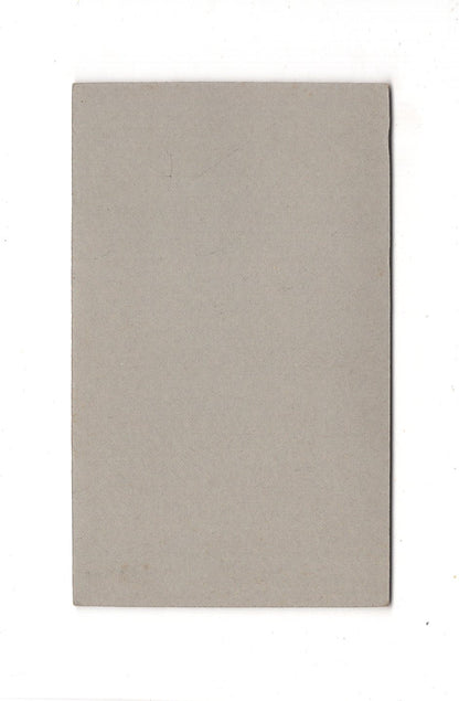 Fotografie Damenportrait - Winsen an der Luhe 1900er / CDV C1-03