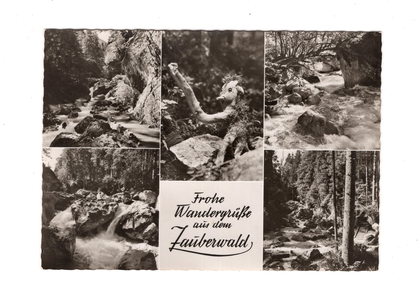 Ansichtskarte Zauberwald / Hintersee