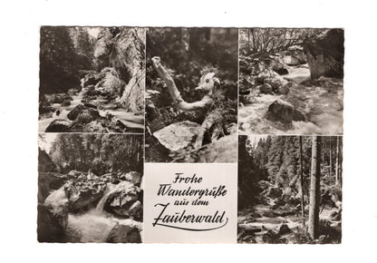 Ansichtskarte Zauberwald / Hintersee