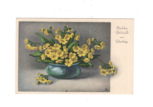 Ansichtskarte Glückwünsche / Glückwunsch zum Geburtstag / L1-57