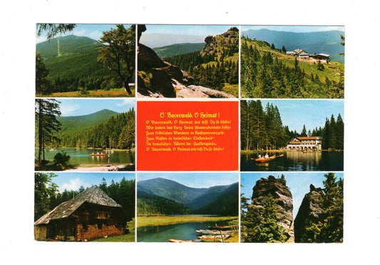 Ansichtskarte Großer Arber / Arberseehaus +++ / Bayerischer Wald