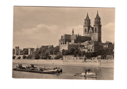 Ansichtskarte Magdeburg / Blick über die Elbe auf den Dom