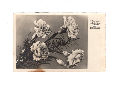 Ansichtskarte Glückwünsche / Glückwunsch zum Geburtstag / L1-57