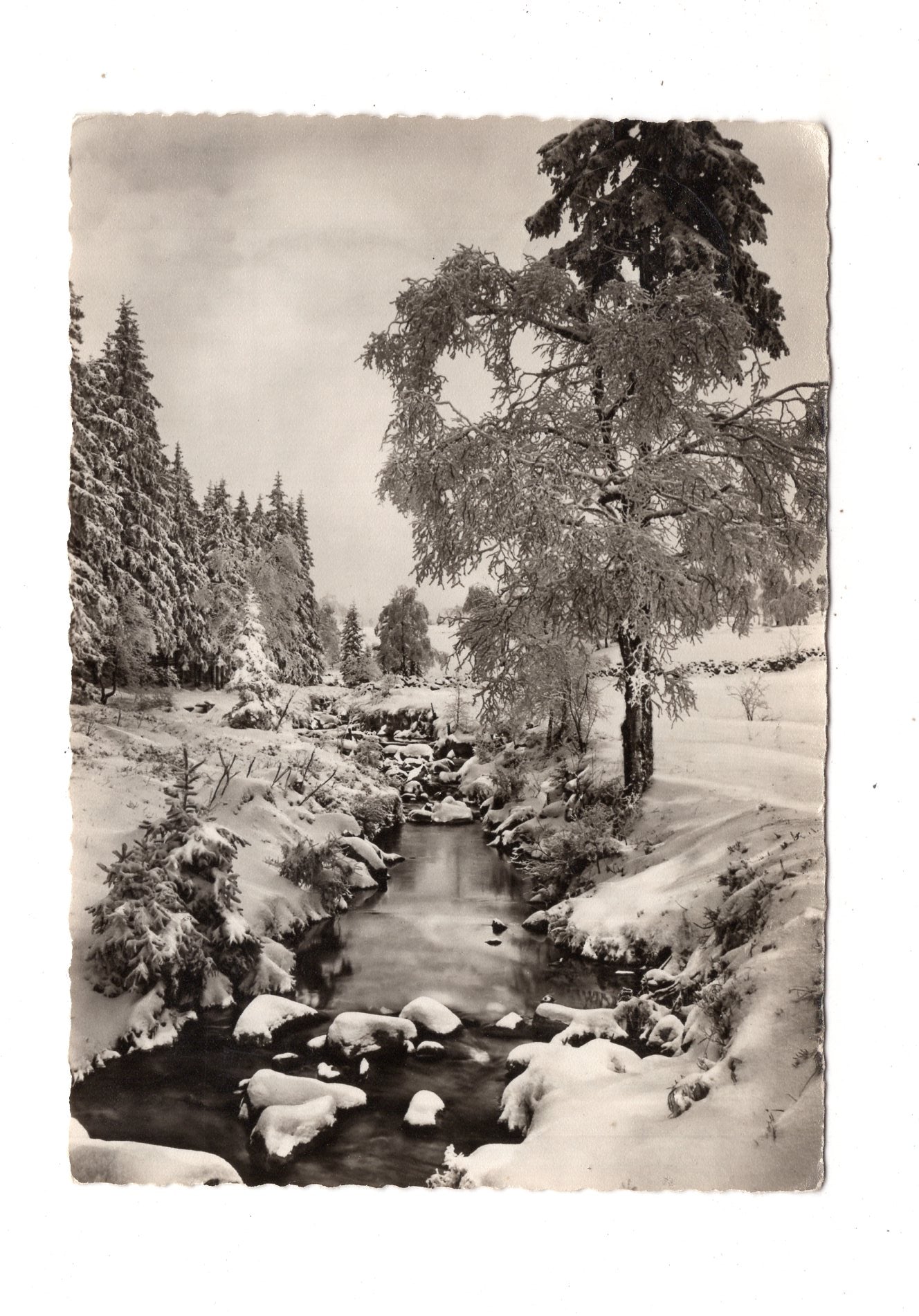 Ansichtskarte Feiertage / Frohe Weihnachten / K1-61