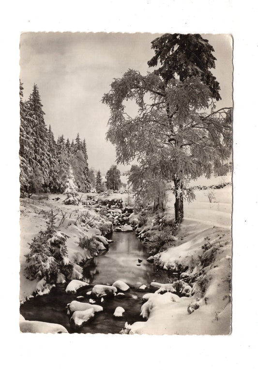 Ansichtskarte Feiertage / Frohe Weihnachten / K1-61