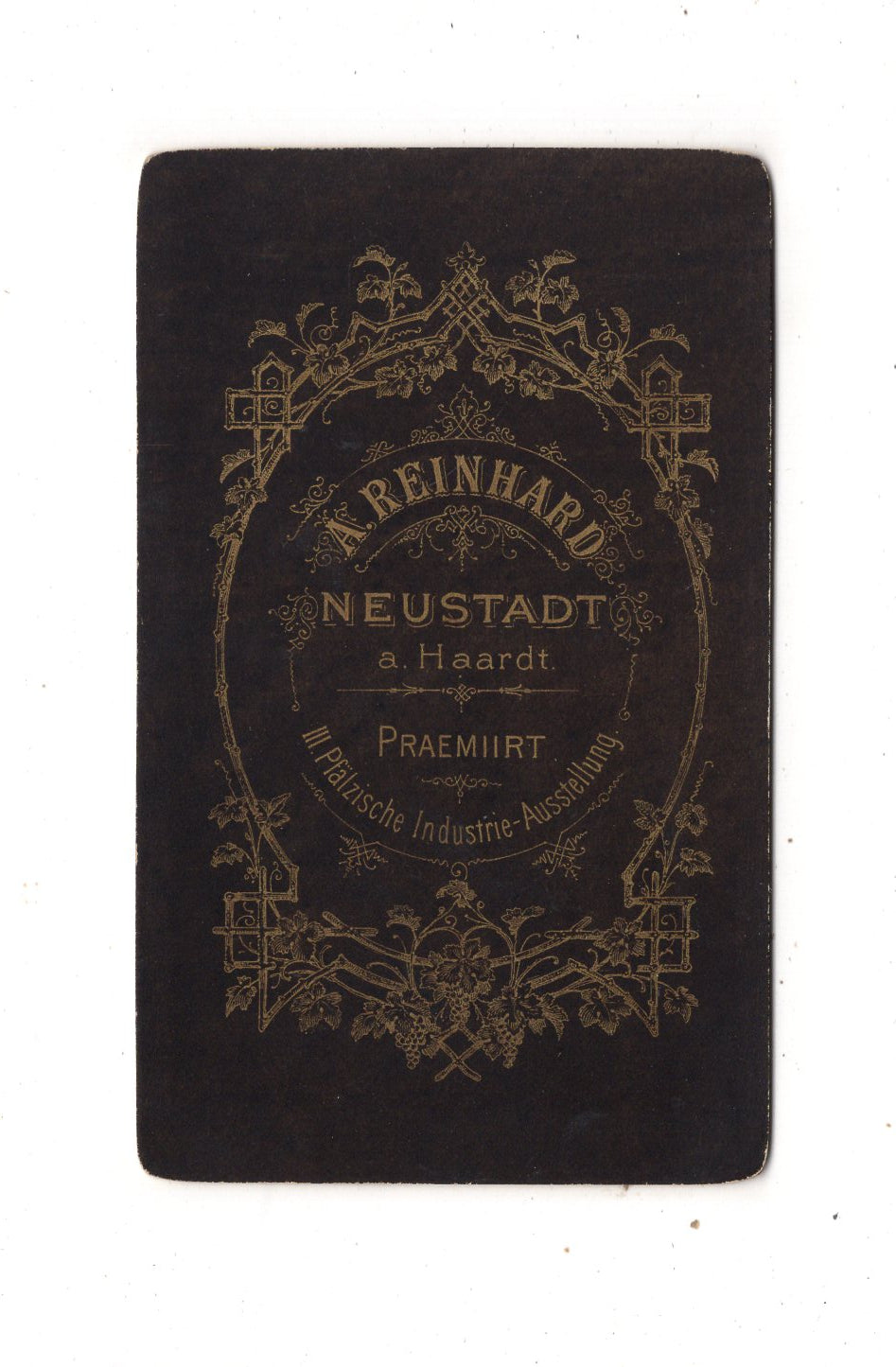 Fotografie Feine Dame - Neustadt a. Haardt 1880er