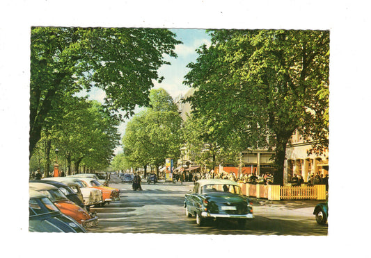 Ansichtskarte Düsseldorf am Rhein / Königsallee / M1-64