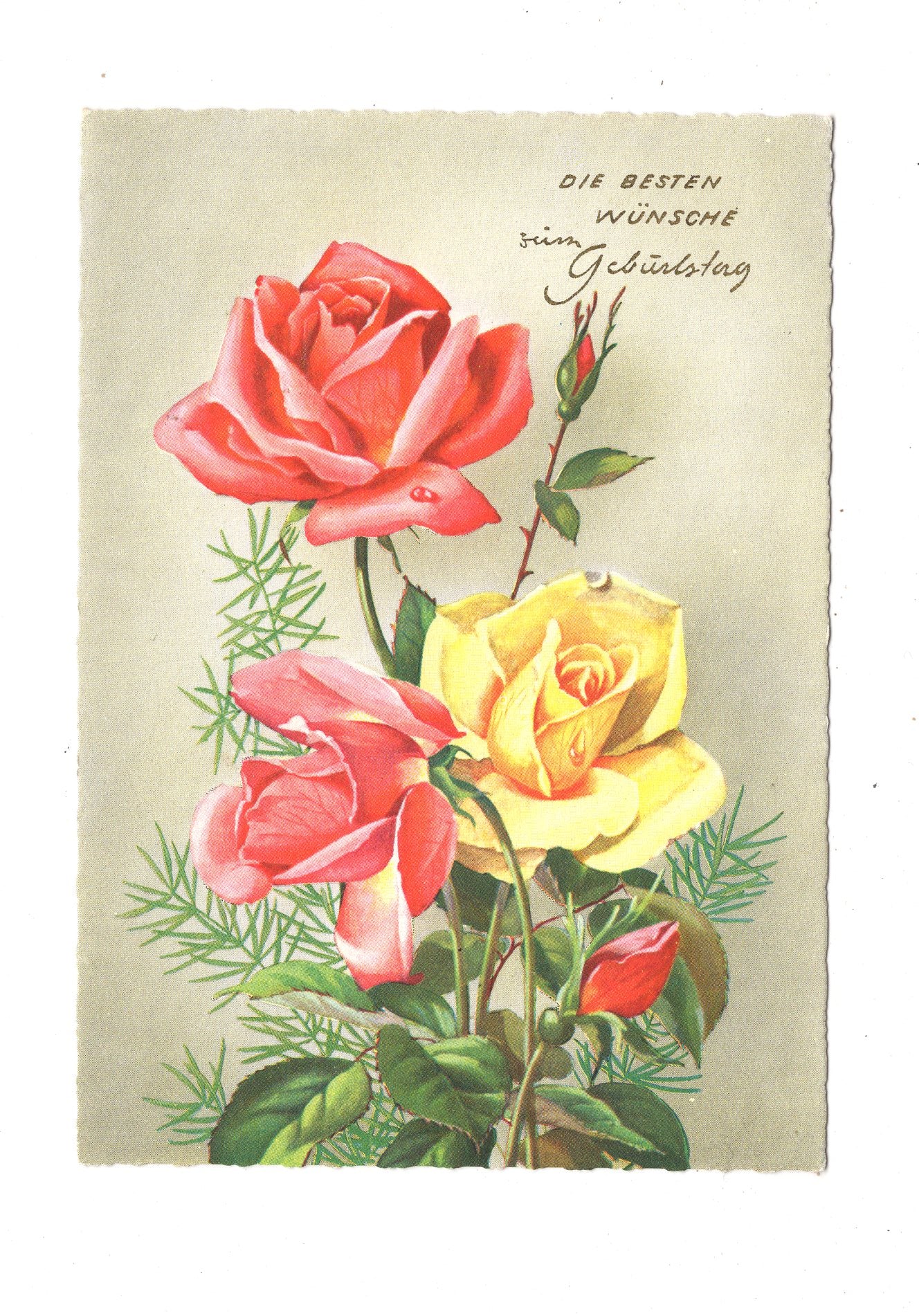 Ansichtskarte Glückwünsche / Glückwunsch zum Geburtstag / L1-57