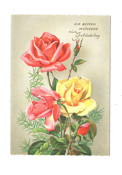 Ansichtskarte Glückwünsche / Glückwunsch zum Geburtstag / L1-57