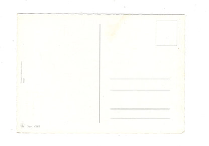 Ansichtskarte Glückwünsche / Glückwunsch zum Geburtstag / L1-57