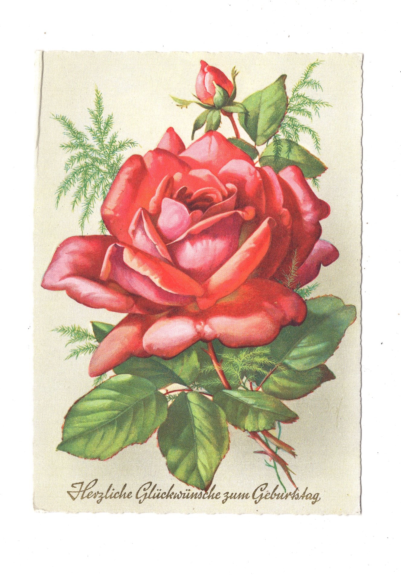 Ansichtskarte Glückwünsche / Glückwunsch zum Geburtstag / L1-57