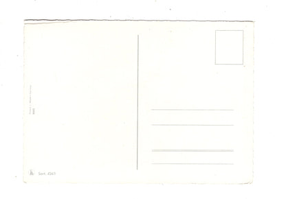 Ansichtskarte Glückwünsche / Glückwunsch zum Geburtstag / L1-57