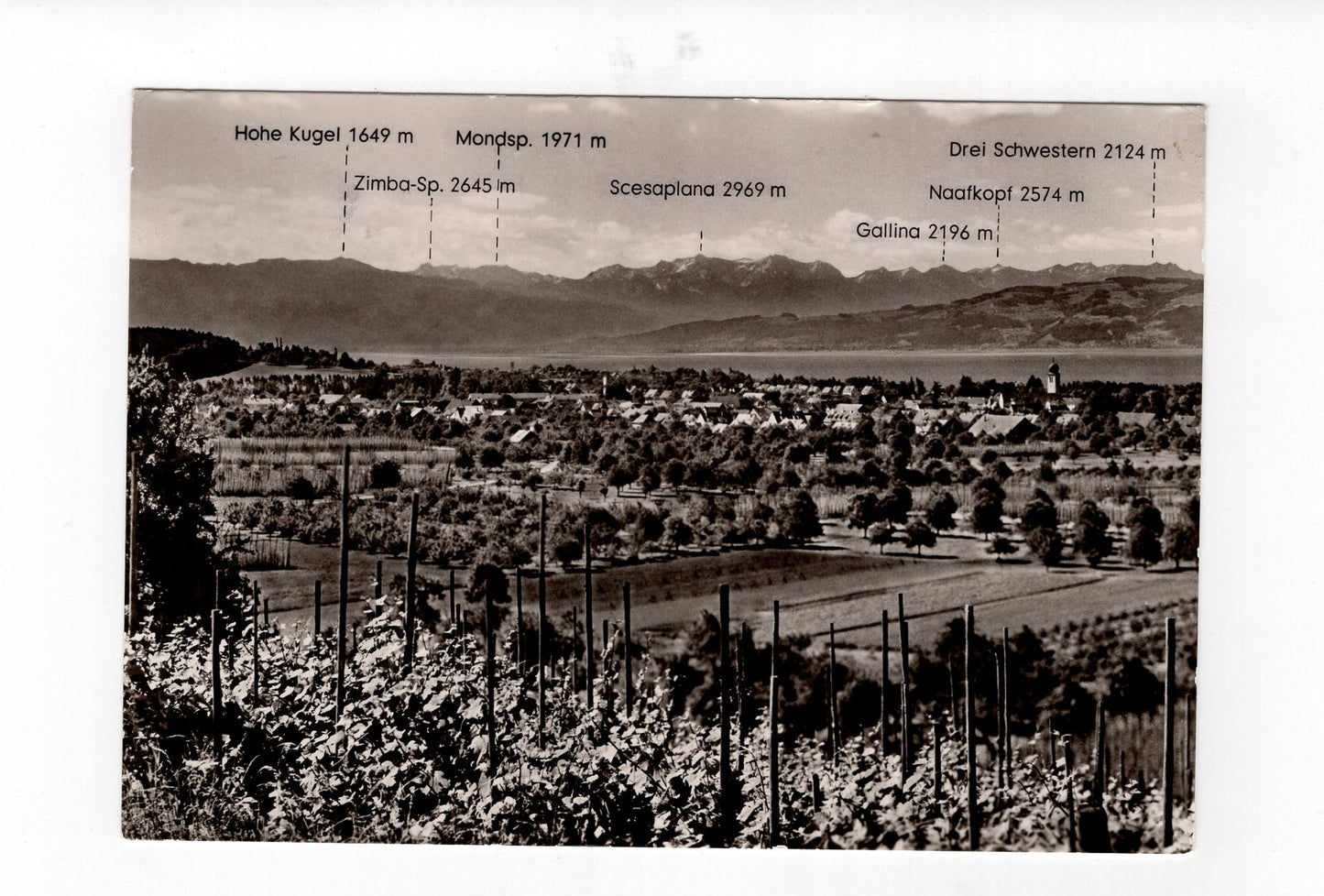 Ansichtskarte Kressbronn am Bodensee / Blick von der Berger Höhe