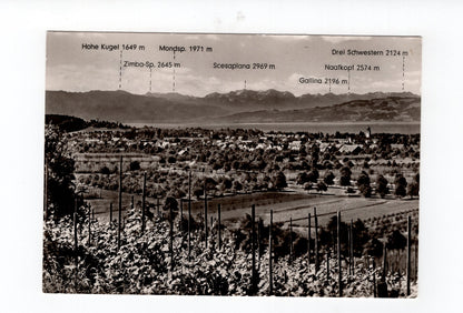 Ansichtskarte Kressbronn am Bodensee / Blick von der Berger Höhe