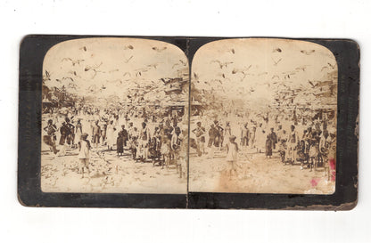 Fotografie Tausende Vögel und Eingeborene / Straßenszene in Jaipur / Indien