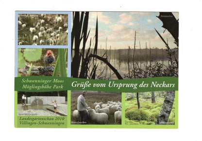 Ansichtskarte Grüße vom Ursprung des Neckars / I1-52