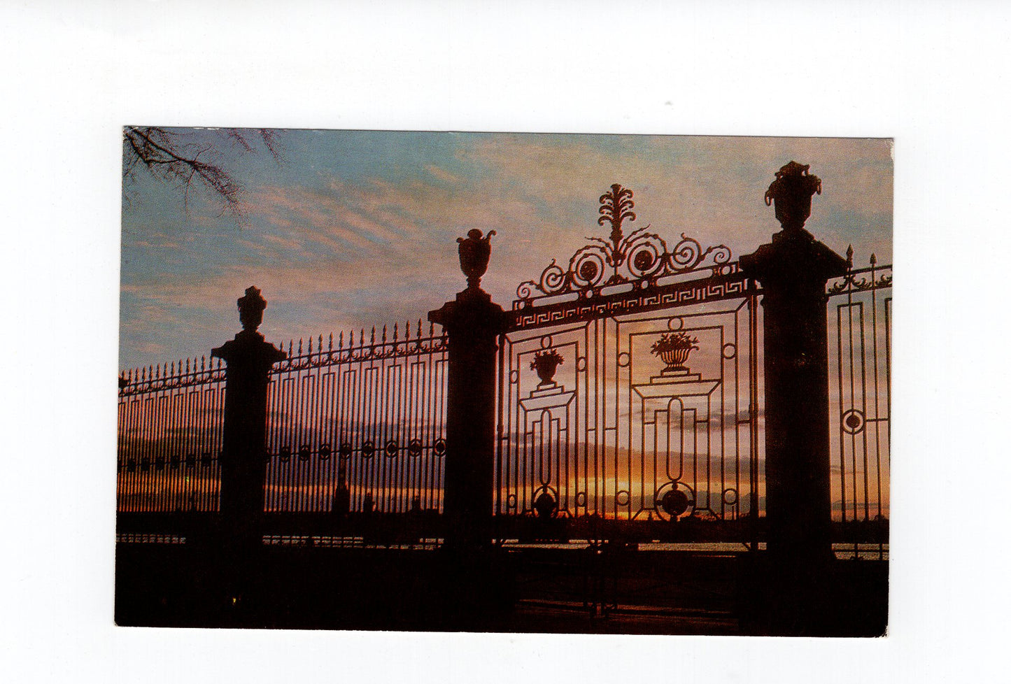 Ansichtskarte Leningrad Summer Gardens / Russland