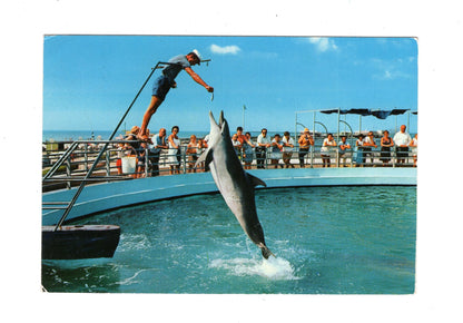 Ansichtskarte Rimini / Aquarium / Italien