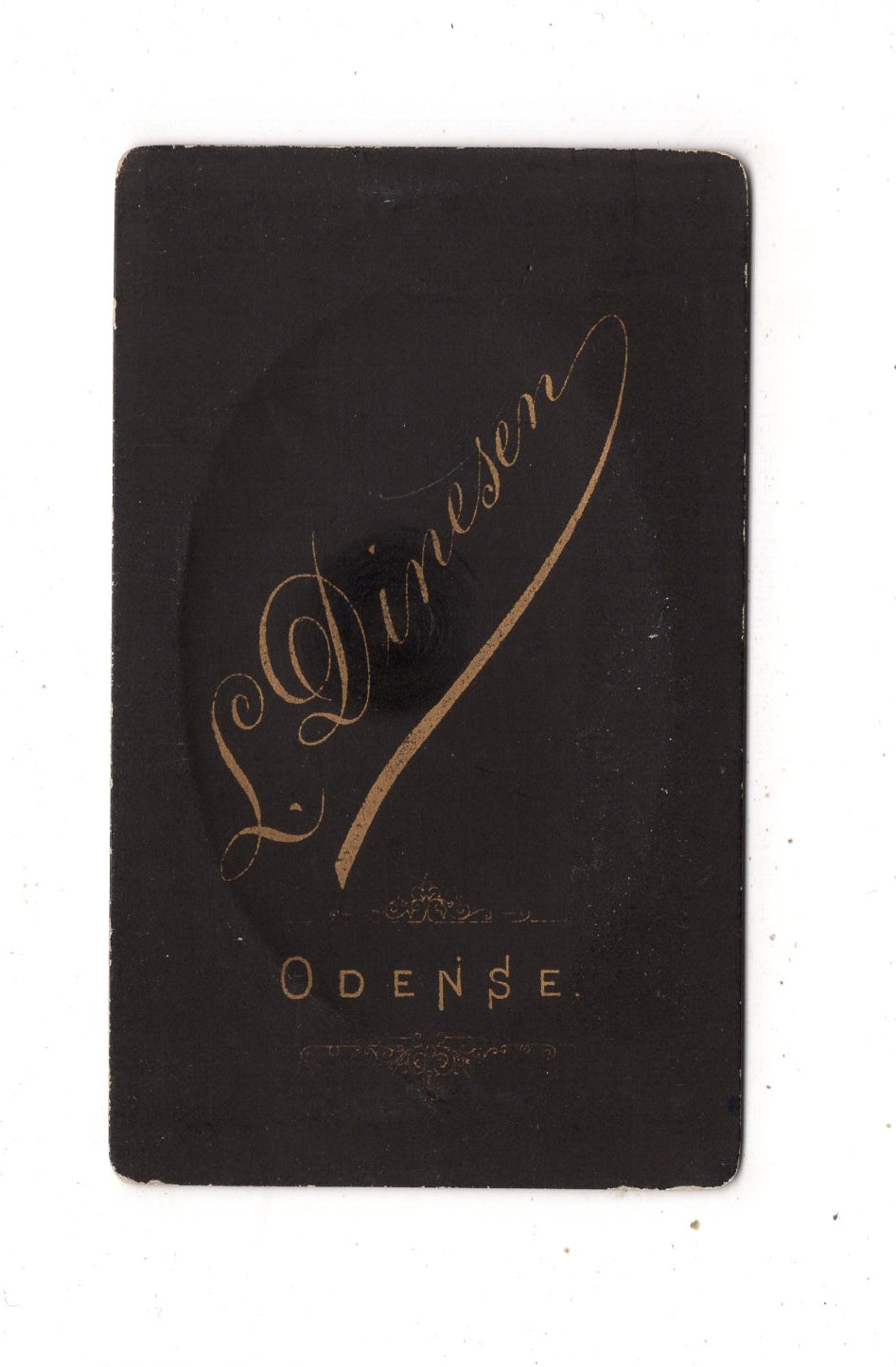 Fotografie Damenportrait - Odense 1880er / CDV N1-14