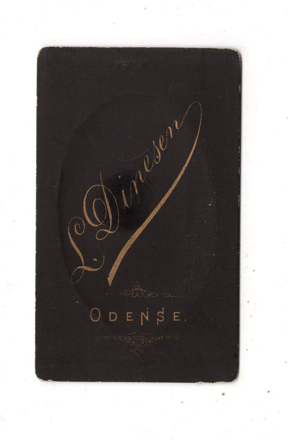 Fotografie Damenportrait - Odense 1880er / CDV N1-14