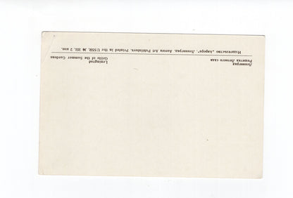 Ansichtskarte Leningrad Summer Gardens / Russland