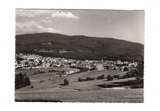 Ansichtskarte Frauenau / Bayerischer Wald