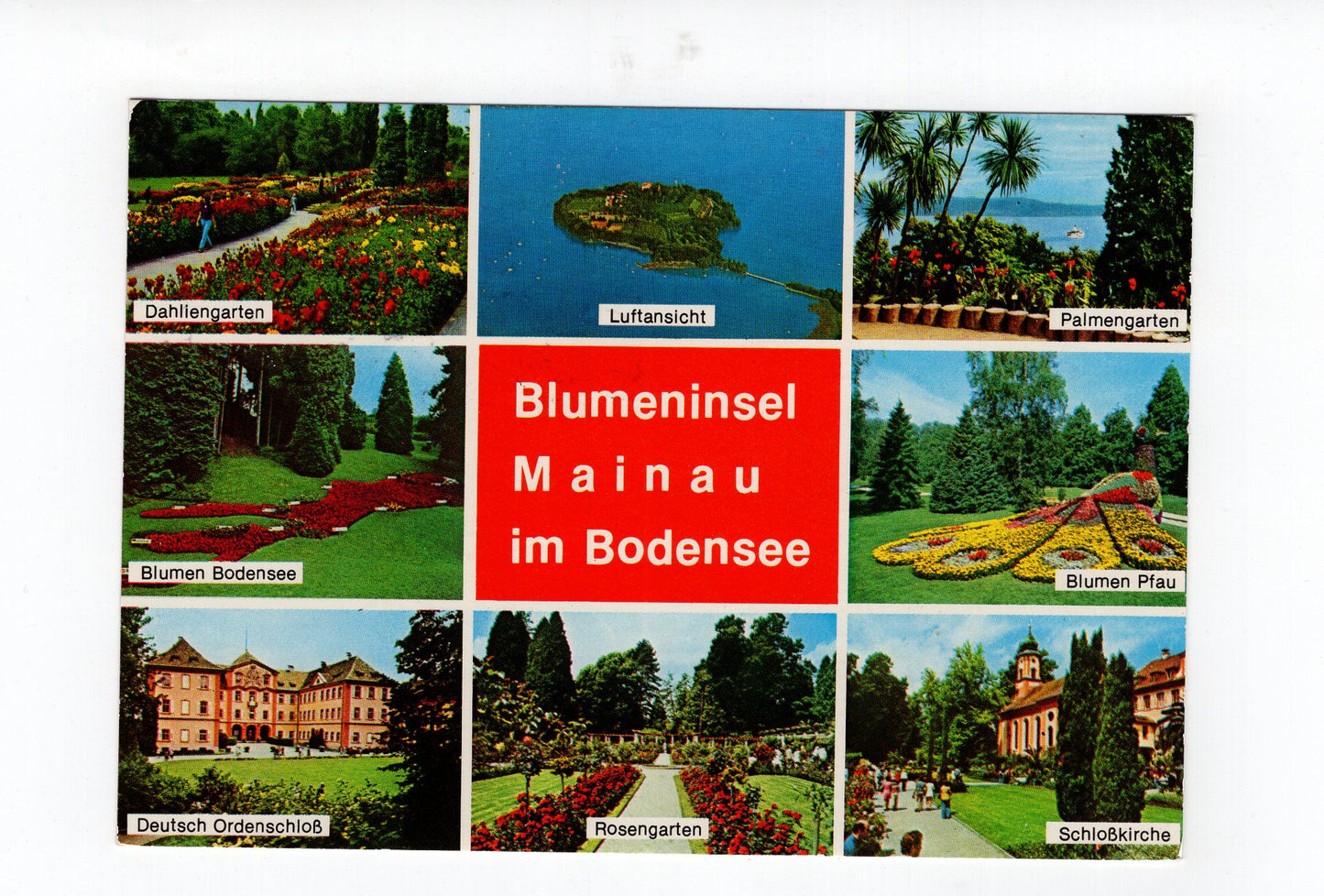 Ansichtskarte Mainau im Bodensee / Rosengarten +++