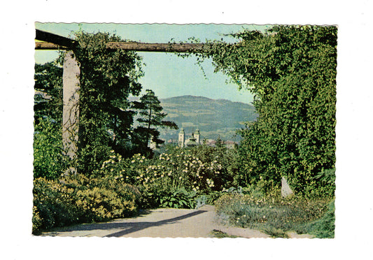 Ansichtskarte Linz an der Donau / Botanischer Garten