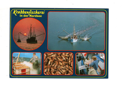 Ansichtskarte Krabbenfischerei in der Nordsee / J1-66