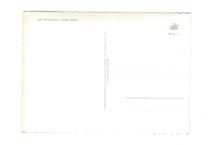 Ansichtskarte Frauenau / Bayerischer Wald