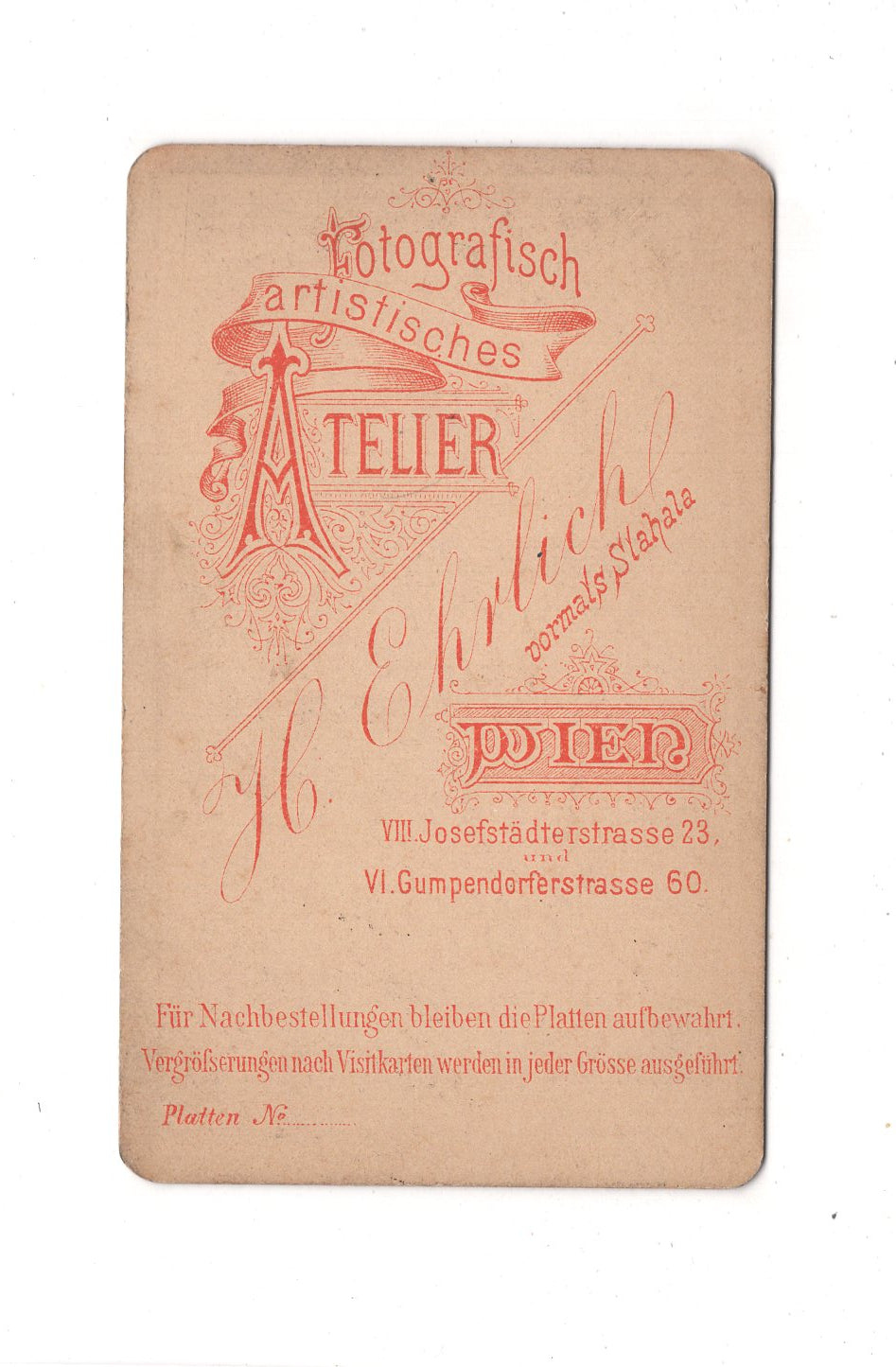 Fotografie Herrenportrait - Wien um 1880 / CDV C1-22