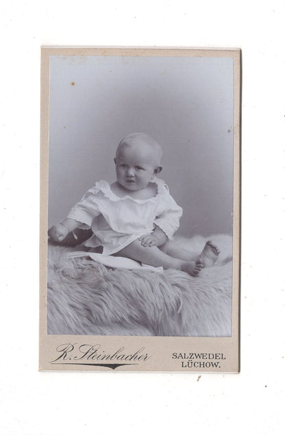 Fotografie Schönes Kinderbild / Baby - Salzwedel / Lüchow 1890er / CDV N1-10