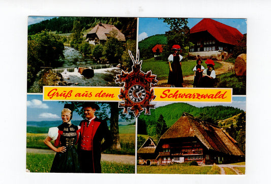 Ansichtskarte Gruß aus dem Schwarzwald