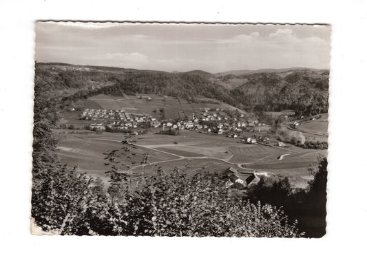 Ansichtskarte Ringelai / Bayerischer Wald