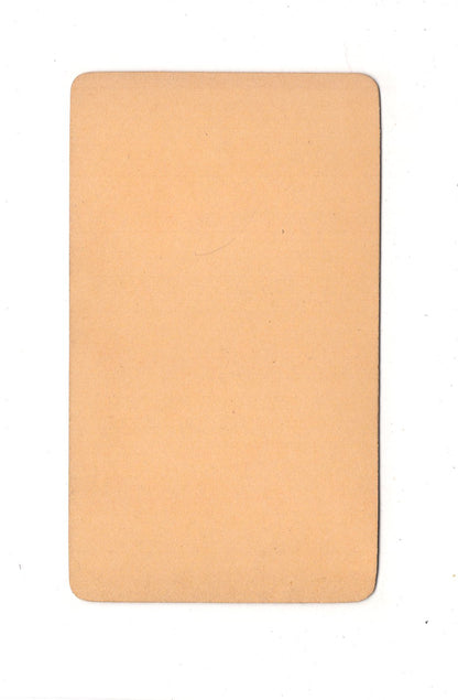 Fotografie Herrenportrait - unbekannter Ort 1870er / CDV C1-22